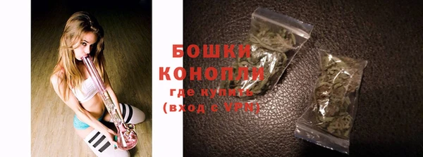 PSILOCYBIN Волосово