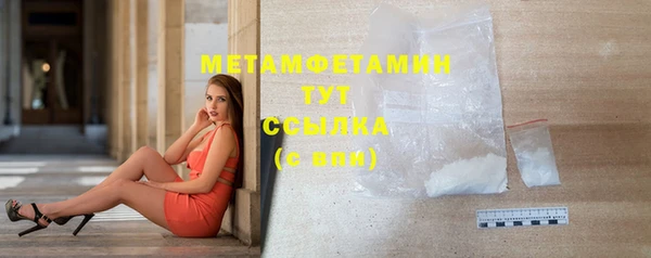 PSILOCYBIN Волосово