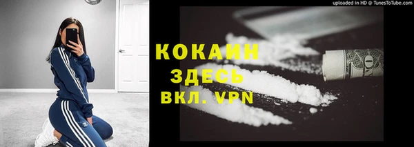 гашик Тайга